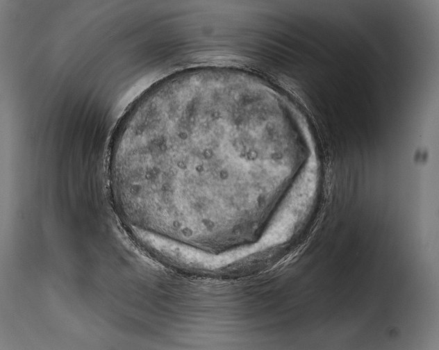 X0000114991071200911231136