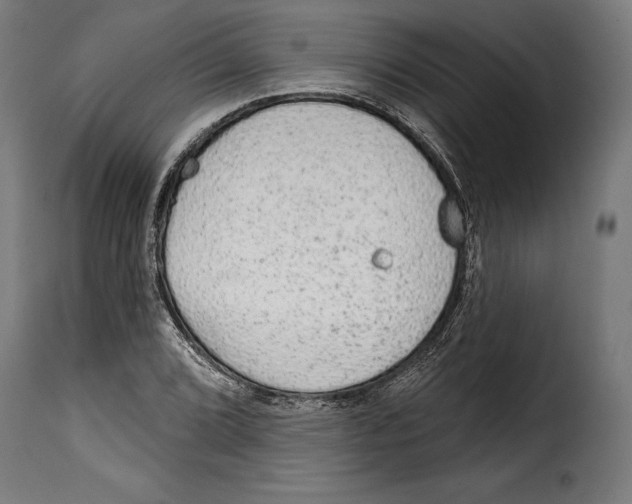 X0000114991072200911231136