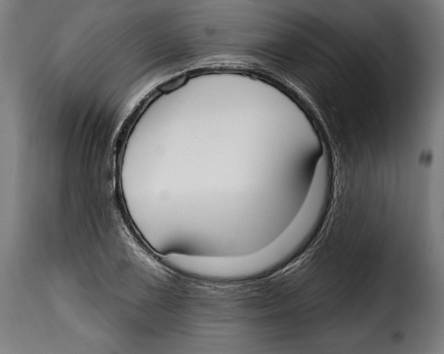 X0000114991075200911231136