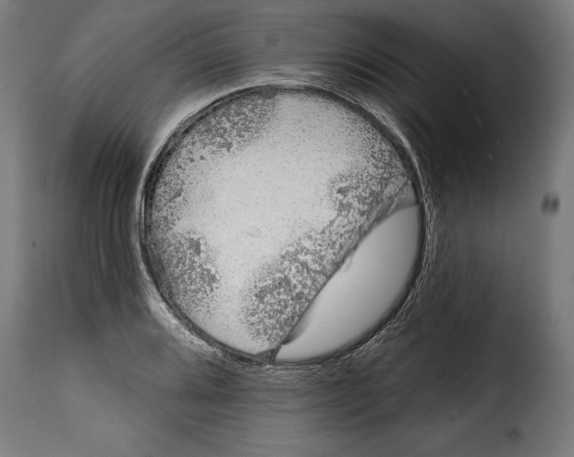 X0000114991080200911231136