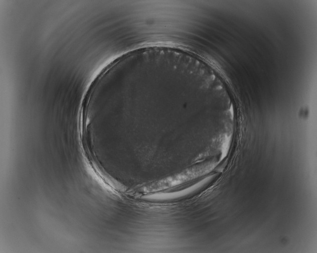 X0000114991084200911231136