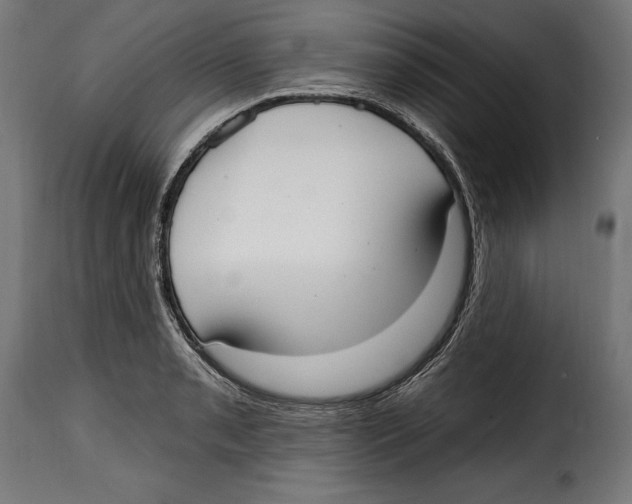 X0000114991085200911231136