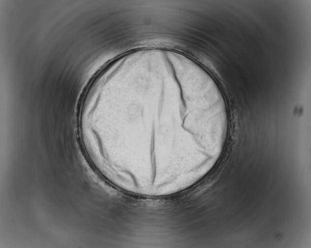 X0000114991087200911231136