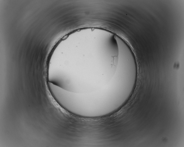 X0000114991088200911231136