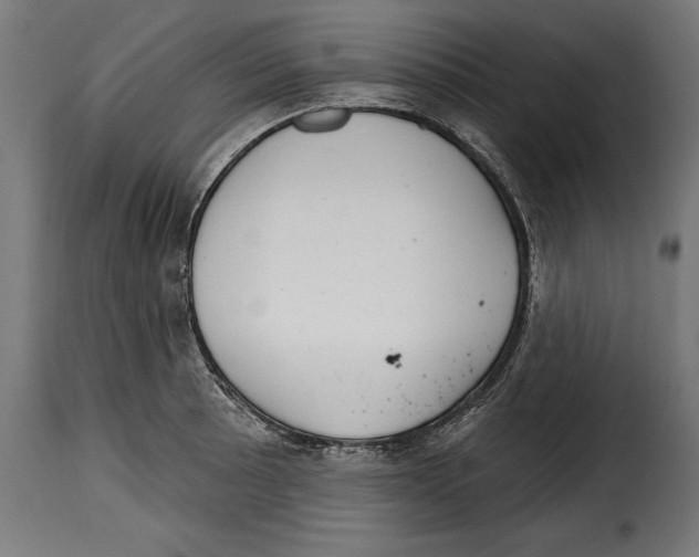 X0000114991089200911231136