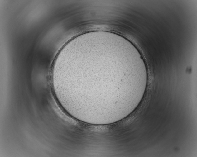 X0000114991090200911231136