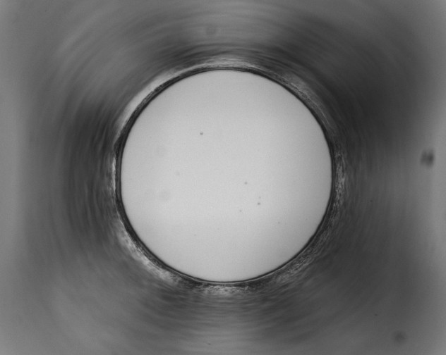 X0000114991092200911231136