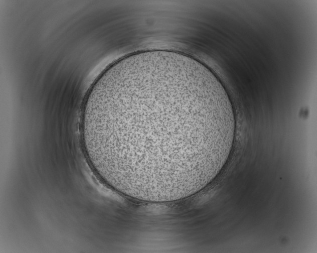 X0000114991094200911231136