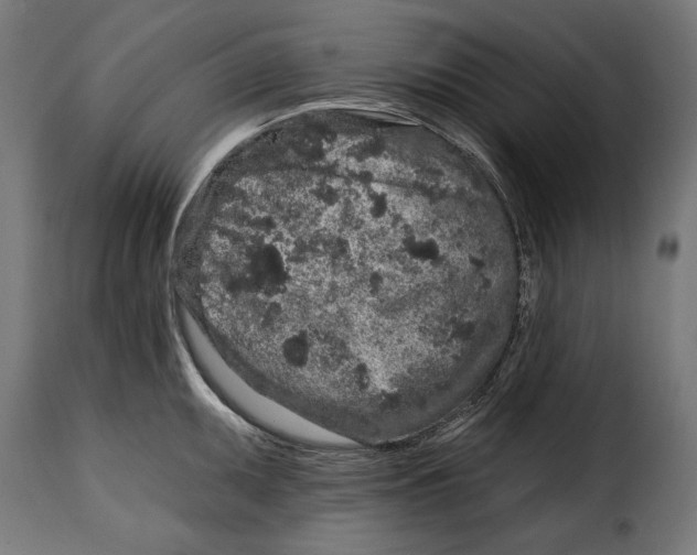 X0000114991095200911231136