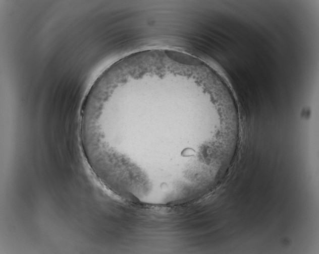 X0000114991096200911231136