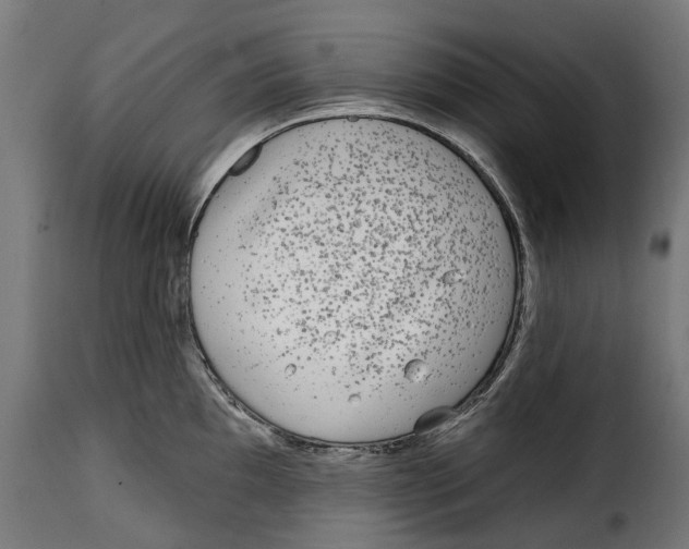 X0000114991097200911231136