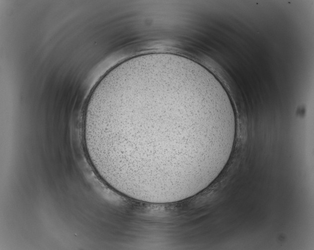 X0000114991098200911231136