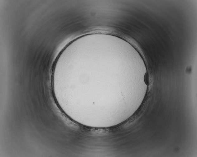 X0000114991099200911231136