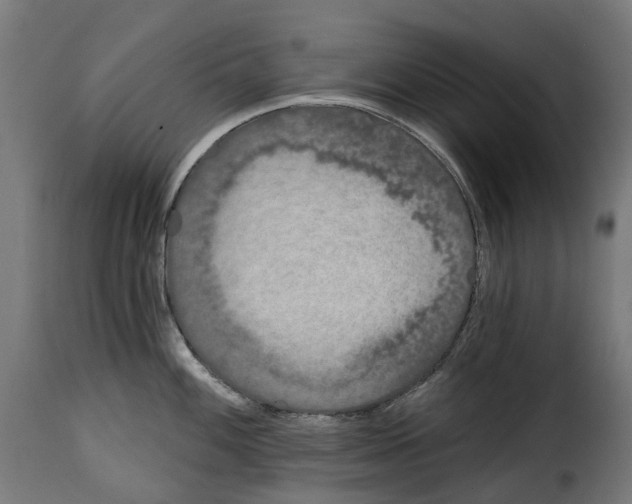 X0000114991100200911231136