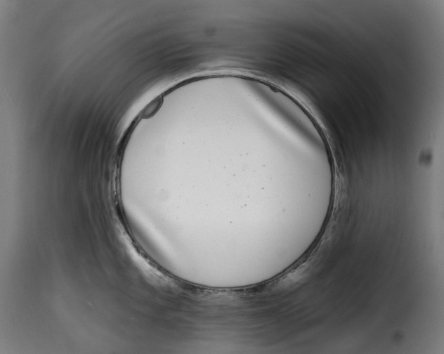 X0000114991101200911231136