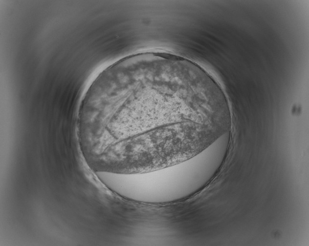 X0000114991104200911231136