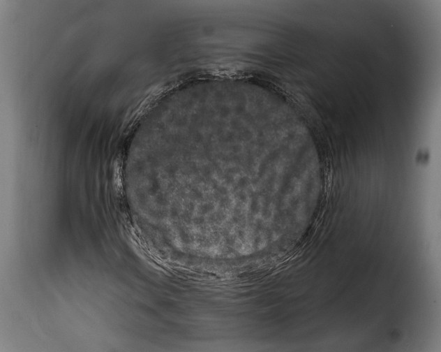 X0000114991106200911231135