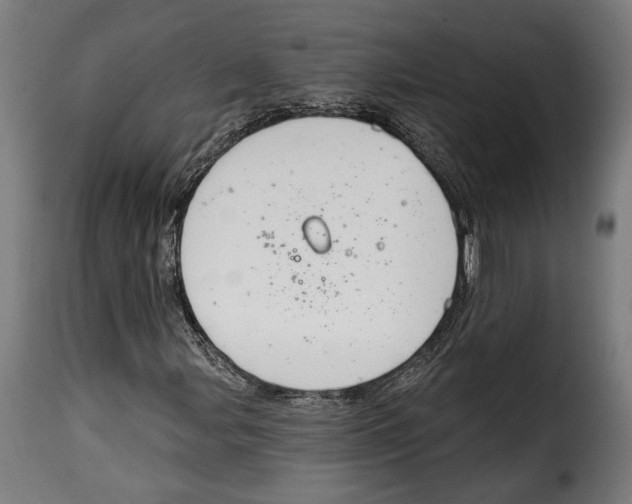 X0000114991107200911231135