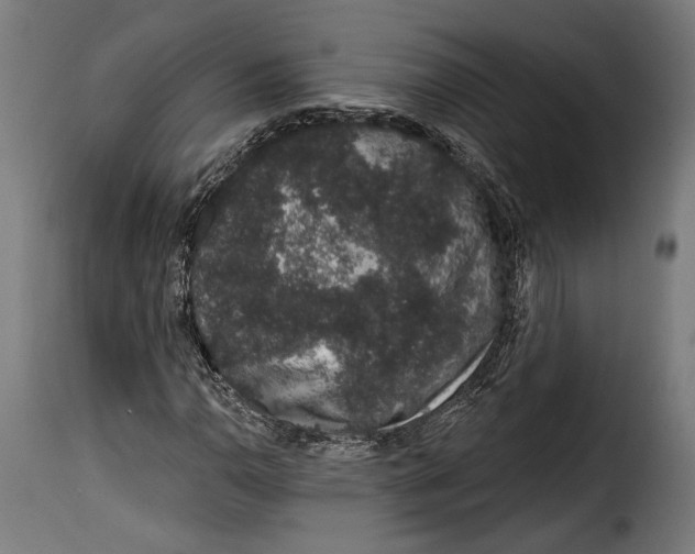 X0000114991110200911231135