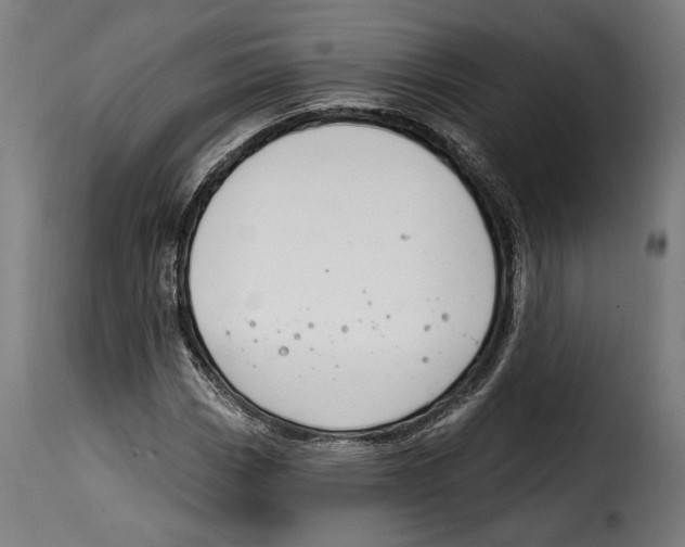 X0000114991113200911231135