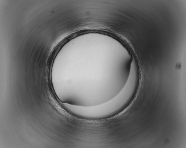 X0000114991114200911231135