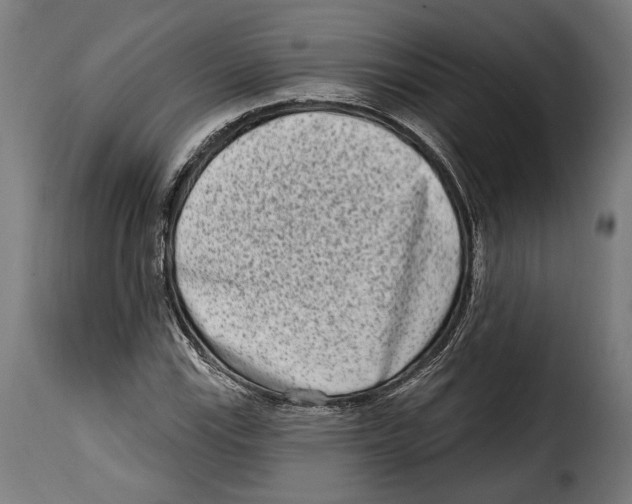 X0000114991115200911231135