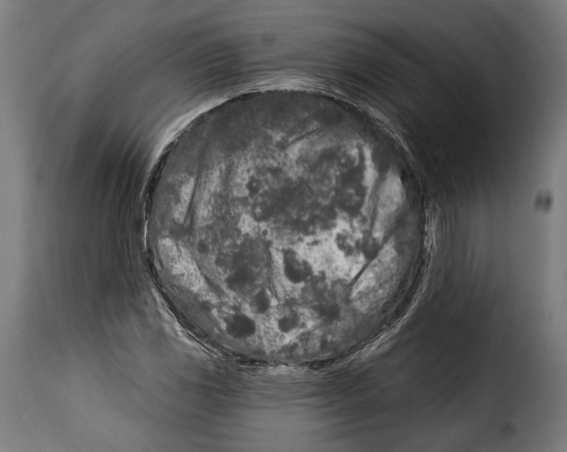 X0000114991117200911231135