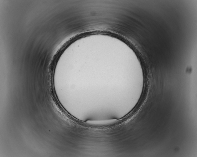 X0000114991118200911231135