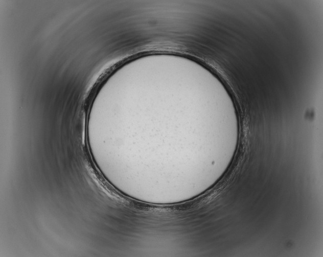 X0000114991123200911231135