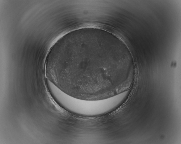 X0000114991127200911231135