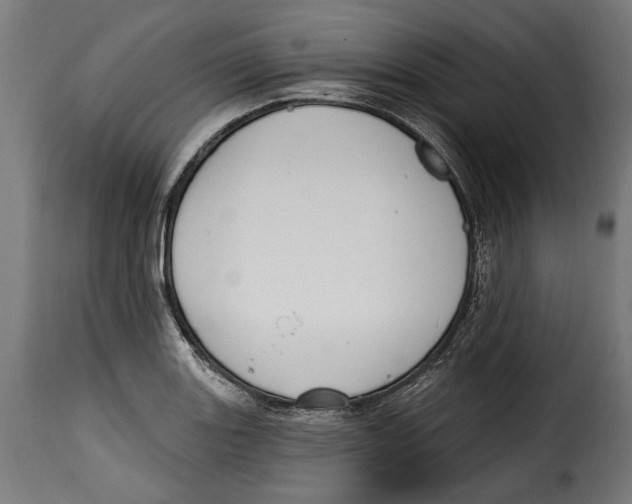 X0000114991131200911231135