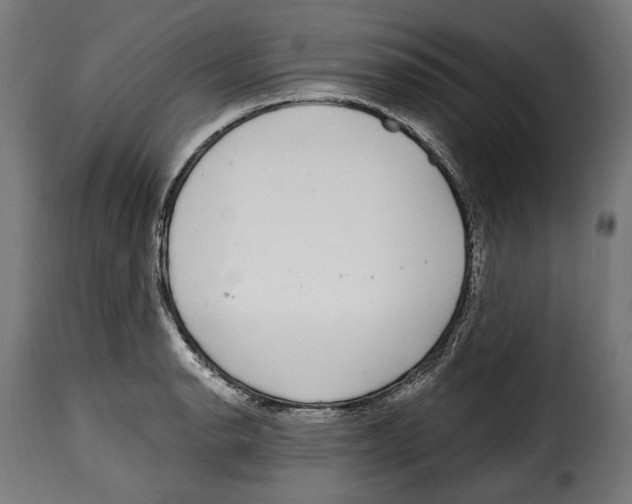 X0000114991134200911231135