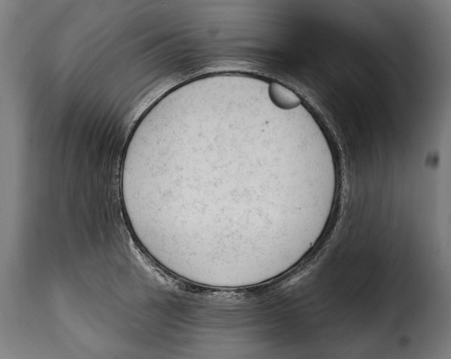 X0000114991137200911231135