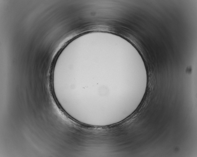 X0000114991139200911231135