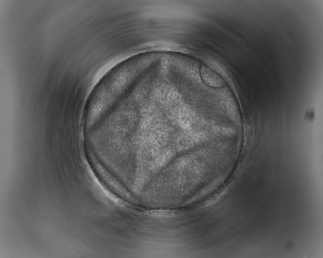 X0000114991141200911231136