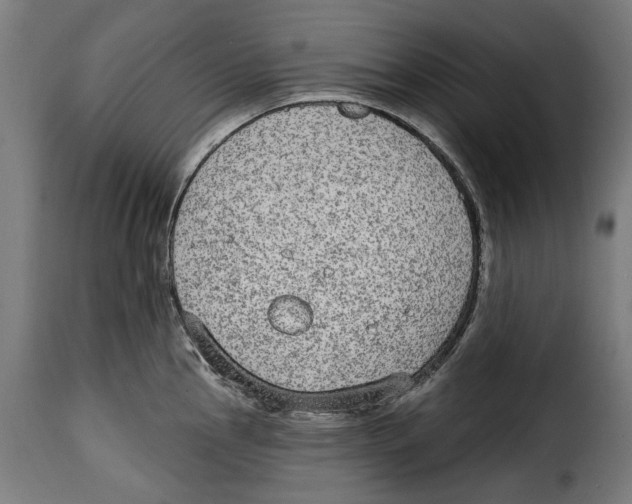 X0000114991145200911231136