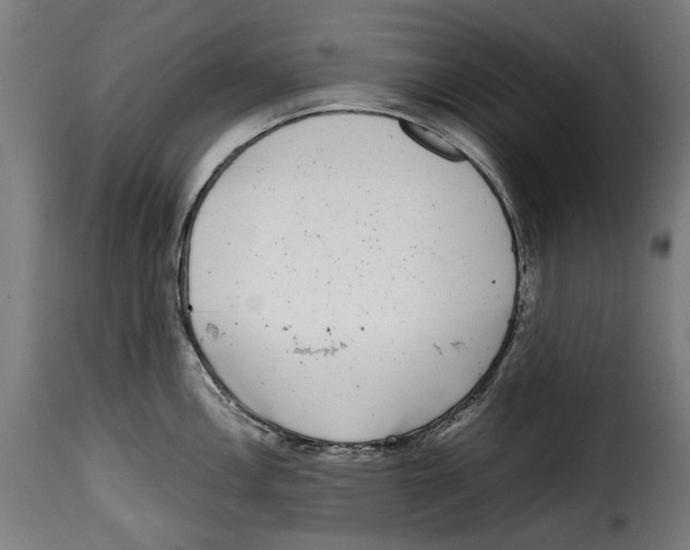 X0000114991146200911231136