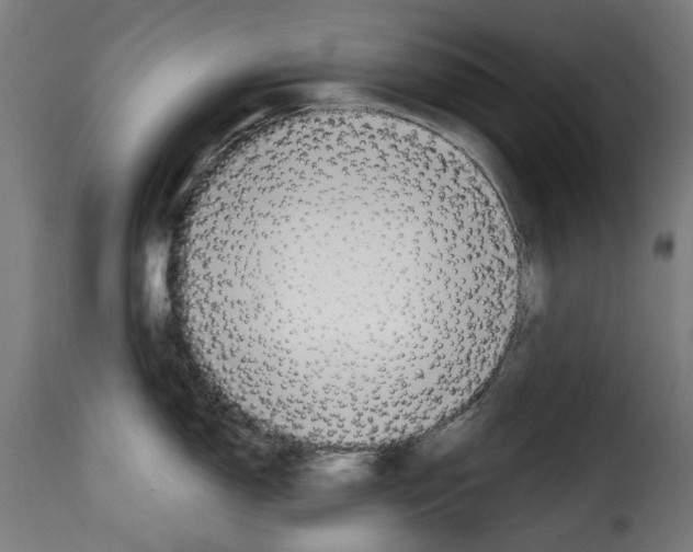 X0000114991150200911231136