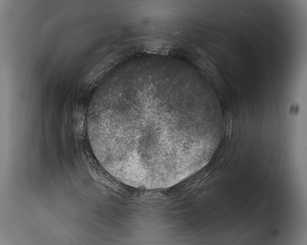 X0000114991154200911231135