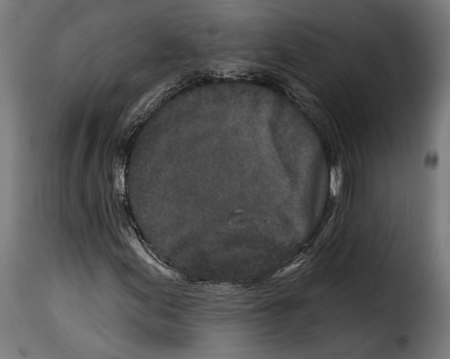 X0000114991155200911231135