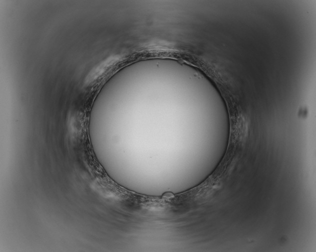 X0000114991157200911231135