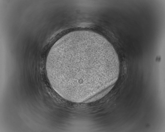 X0000114991158200911231135