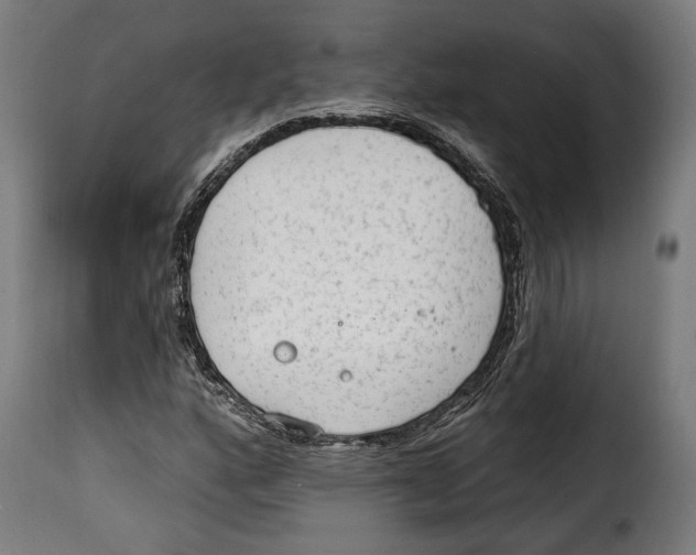 X0000114991160200911231135