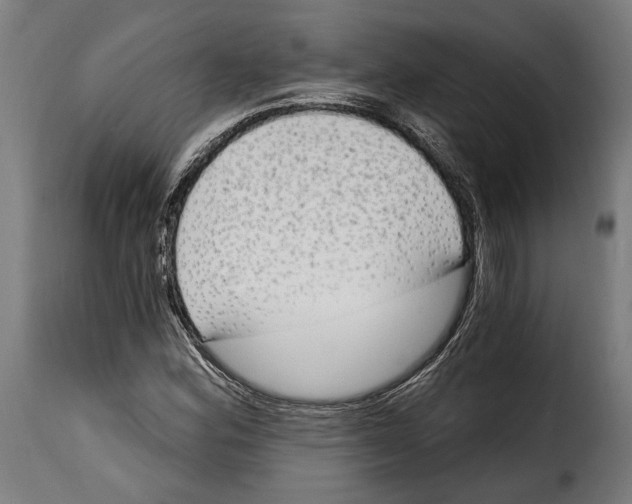 X0000114991164200911231135