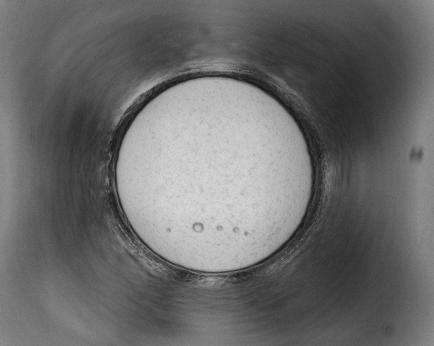 X0000114991166200911231135