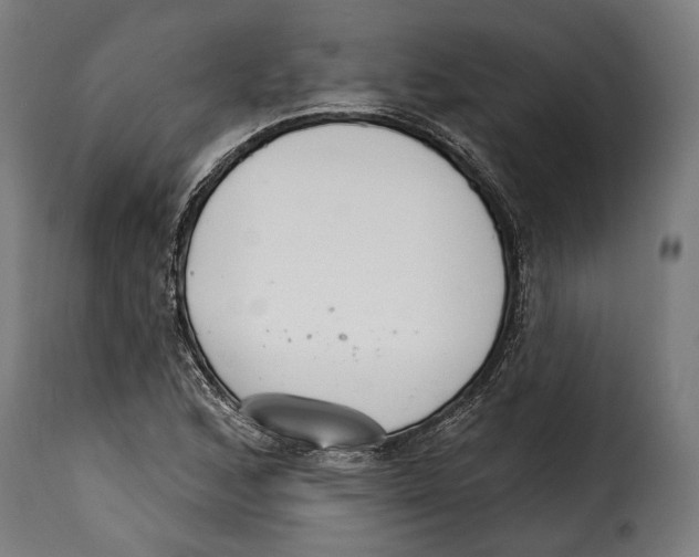 X0000114991168200911231135