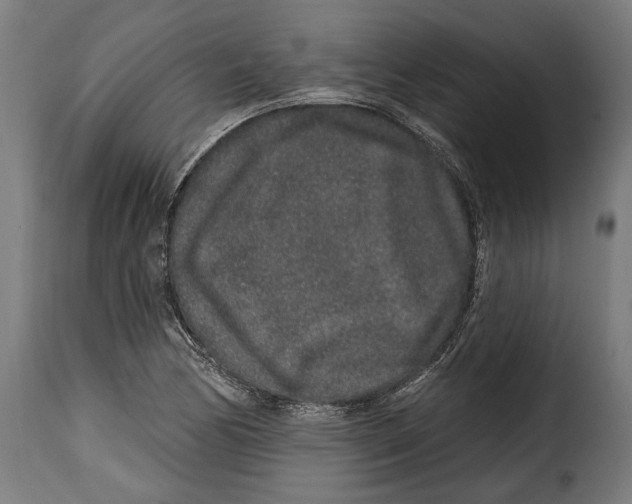 X0000114991170200911231135