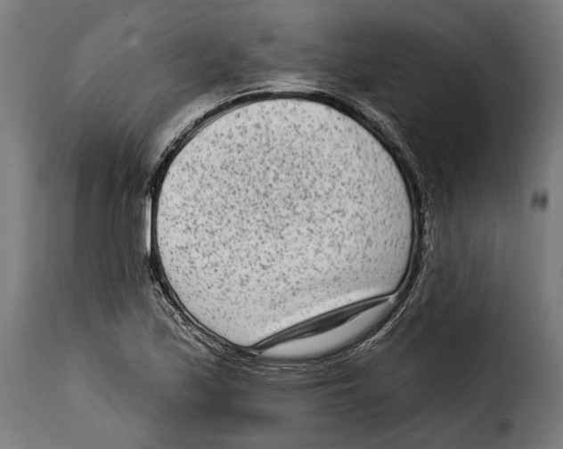 X0000114991171200911231135