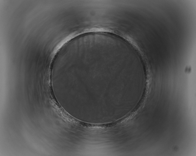 X0000114991173200911231135