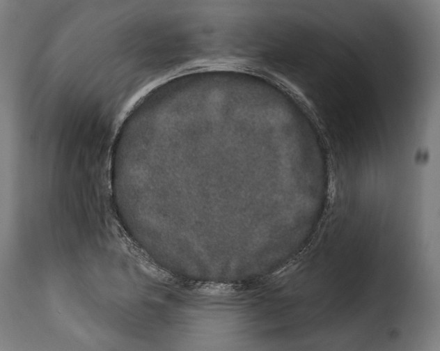 X0000114991174200911231135